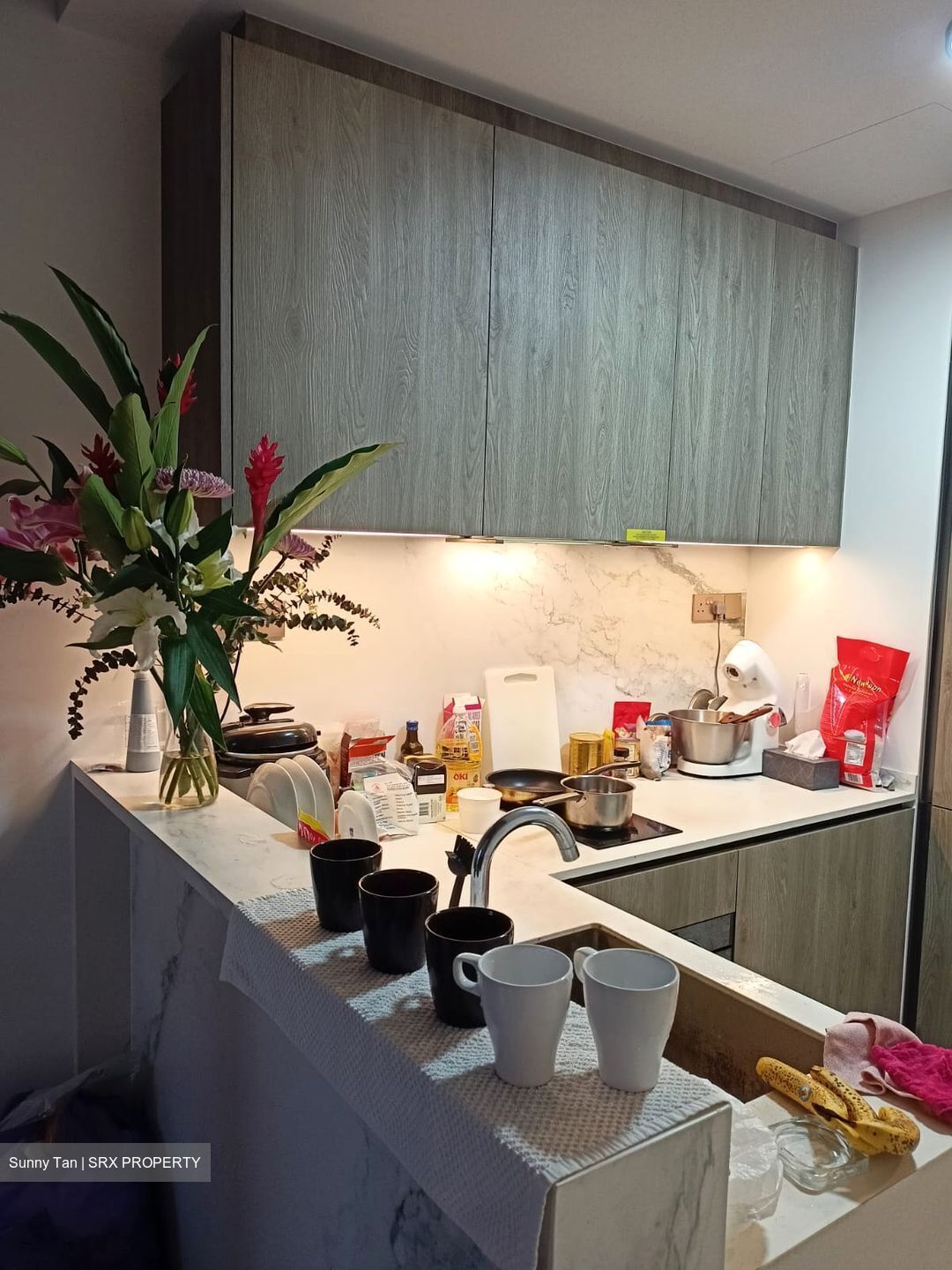 Leedon Green (D10), Condominium #545789651